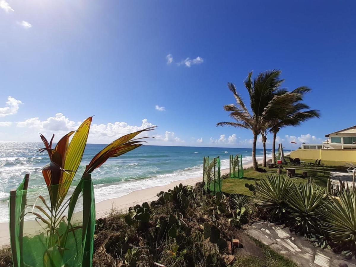 Casa De Praia Da Maria Luiza Barra de São Miguel Dış mekan fotoğraf